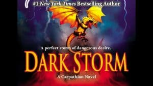 Dark Storm audiobook