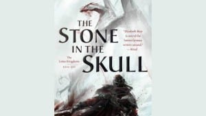 The Stone in the Skull audiobook