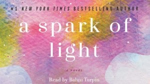 A Spark of Light audiobook