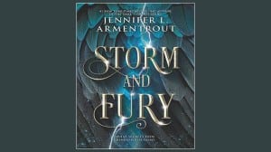 Storm and Fury audiobook