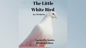 The Little White Bird audiobook